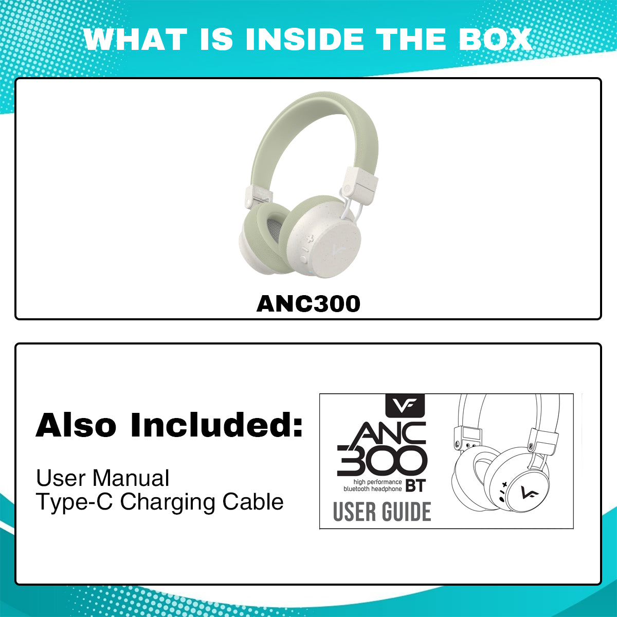 ANC 300