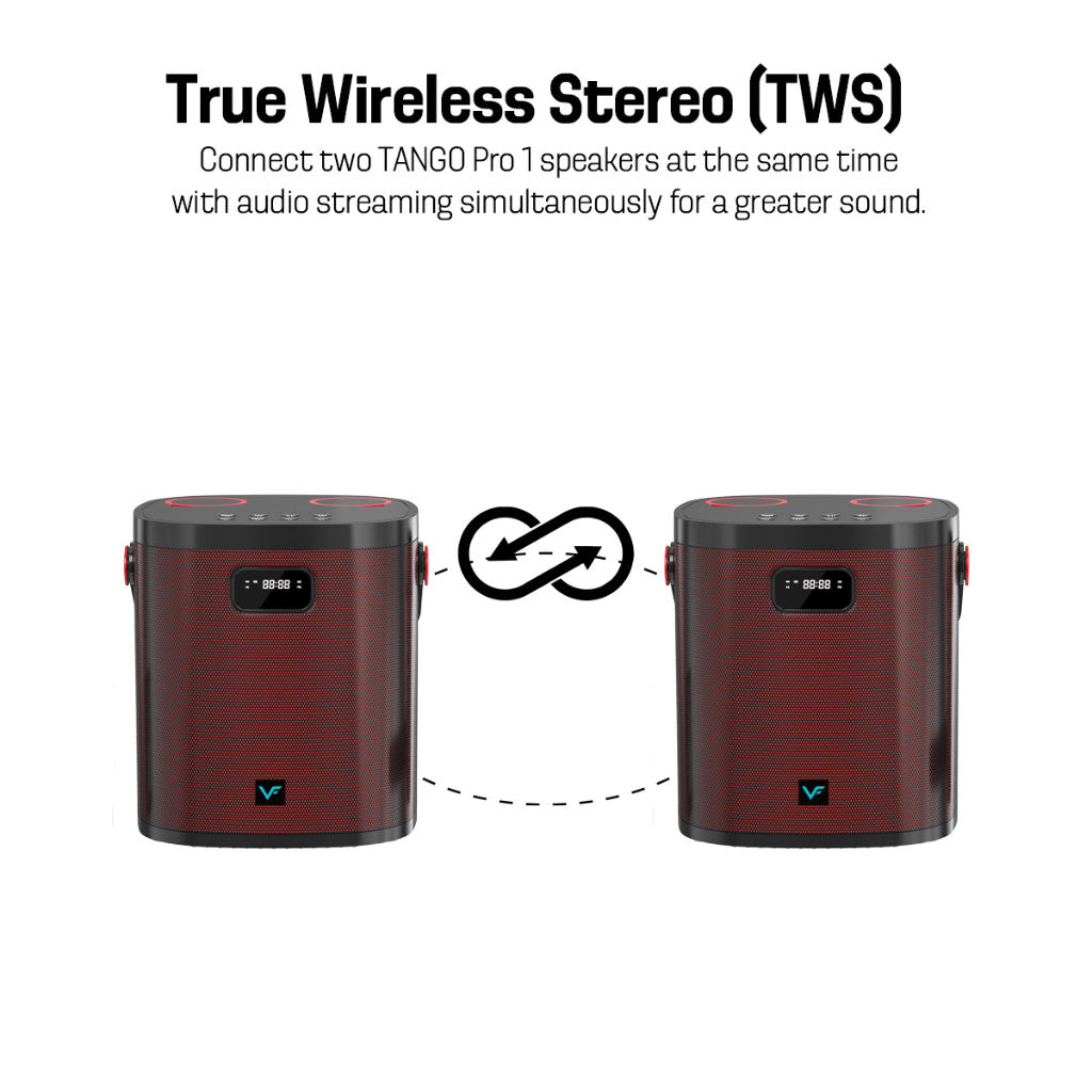 Vinnfier VF Tango Pro 1 Bluetooth Portable Karaoke Speaker with 2 Wireless Microphone