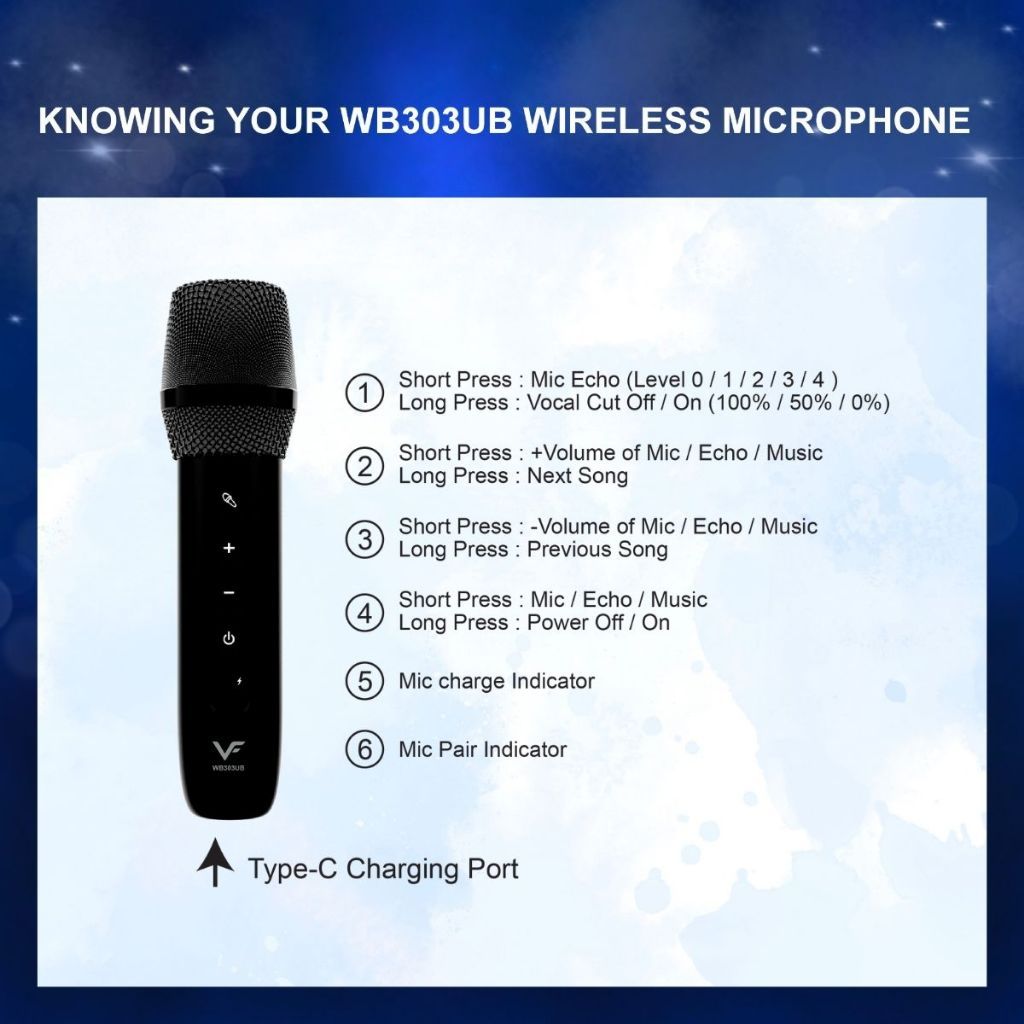 Vinnfier WB303 UB UHF Dual Wireless Microphones Multifunctional 3.5mm Aux Connect directly to Speakers SoundBar TV